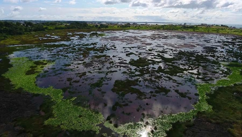 Natural Asphalt Lakes and gilsonite producer
