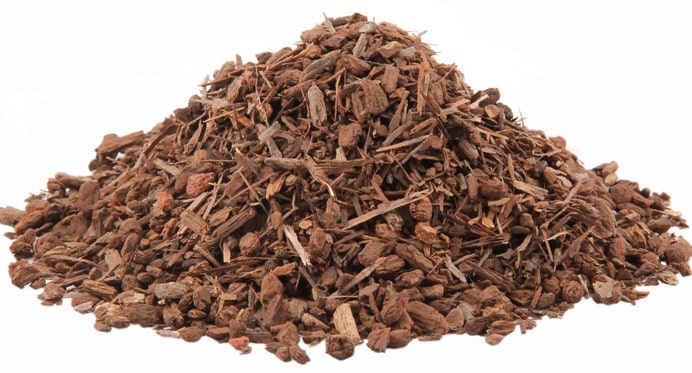 پوست ریشه درخت گردو
