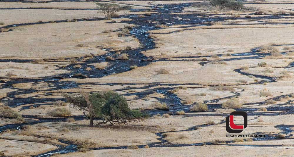 برطرف کردن آلودگیهای نفتی خاک