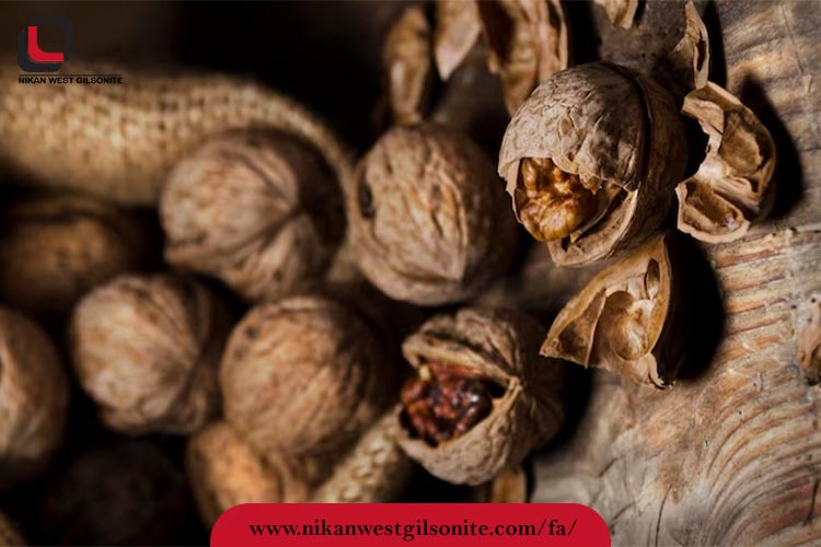 خواص پره وسط گردو