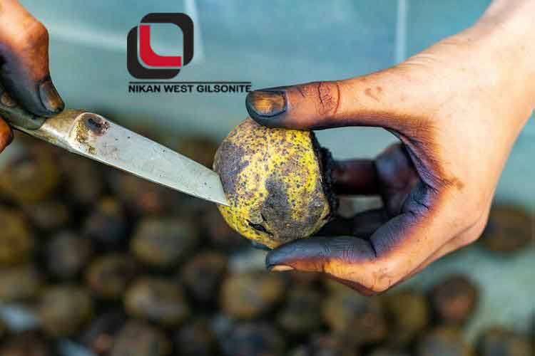 روش خانگی تهیه روغن پوست سبز گردو