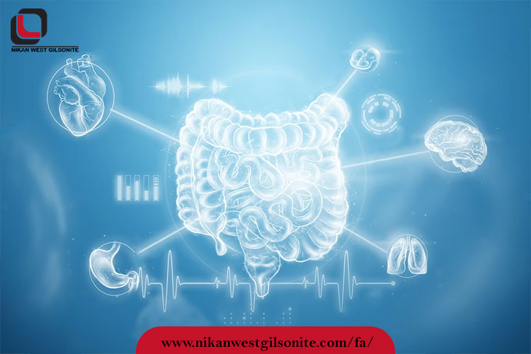 پاکسازی دستگاه گوارش