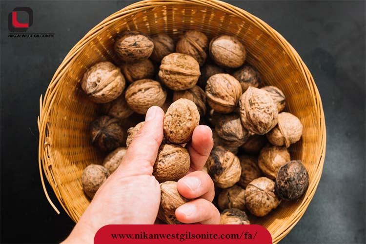 اندازه گردو