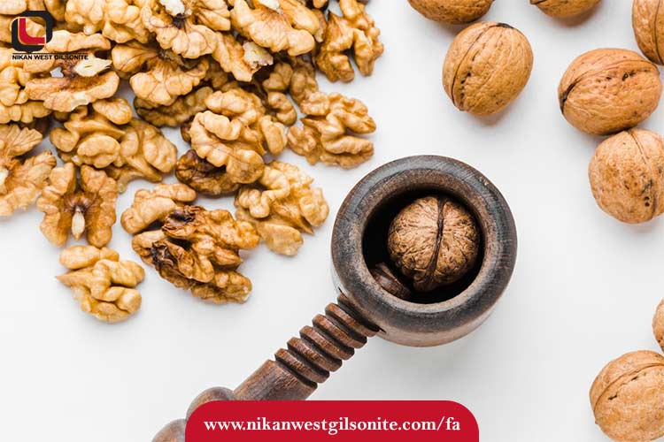 انواع پیوند درخت گردو اسرائیلی