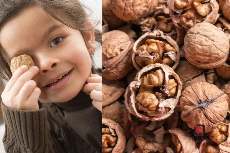 خواص روغن گردو برای دور چشم