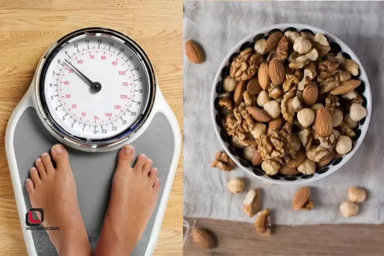 بهترین زمان مصرف گردو و ممنوعیتهای آن