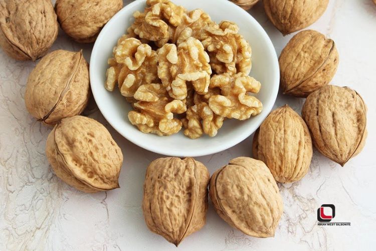 فواید گردو برای مغز